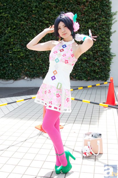 桦木原木比较紧张 白松价格下滑-世界杯买球